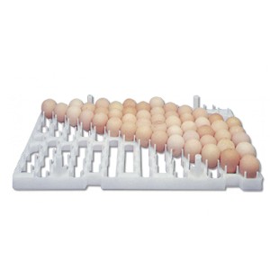 /2140-610-thickbox/casier-incubateur---poules-colverts.jpg