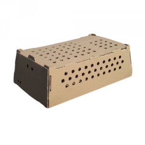 /3703-1594-thickbox/emballage-carton-one-shot-plus-d-75-l-diminterieures-604-x-365-x-185-mm-h.jpg