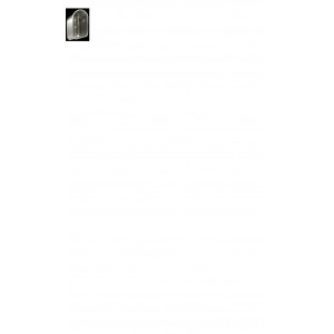 /4267-3064-thickbox/abreuvoir-inox-mod-74.jpg