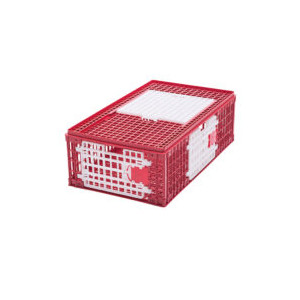/4816-3738-thickbox/caisse-transport-volailles-modb.jpg